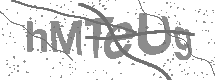visual captcha